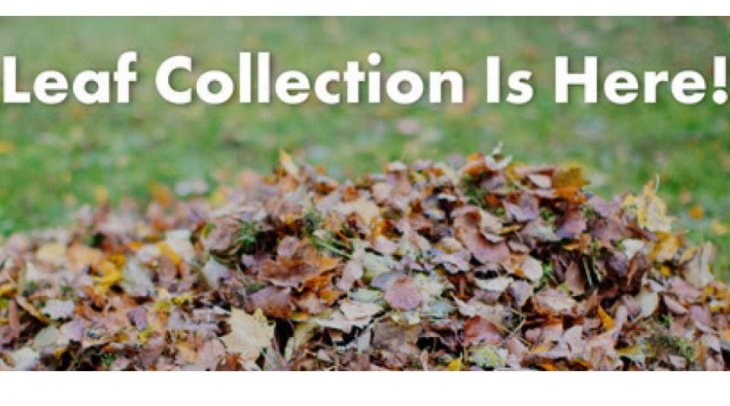 Leaf Collection